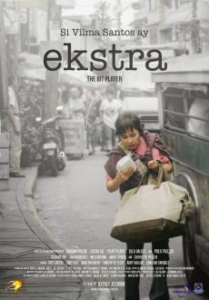 "Ekstra" (2013) DVDRip.x264-AEN